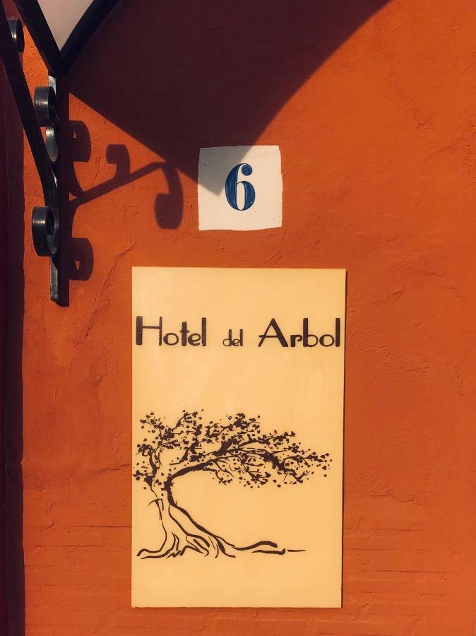Hotel Del Arbol Xativa Ngoại thất bức ảnh